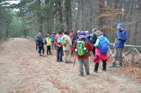 Macchialonga11nov2018 (39)
